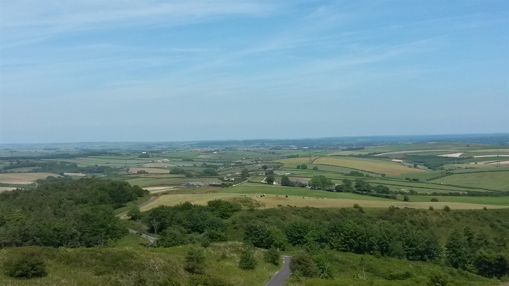 Hardy Monument View